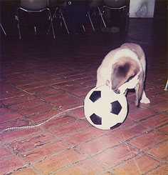 bernard 1973 with ball